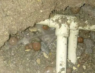 仲巴卫生间测漏