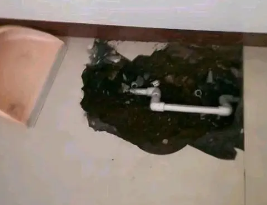 仲巴卫生间测漏水多少钱
